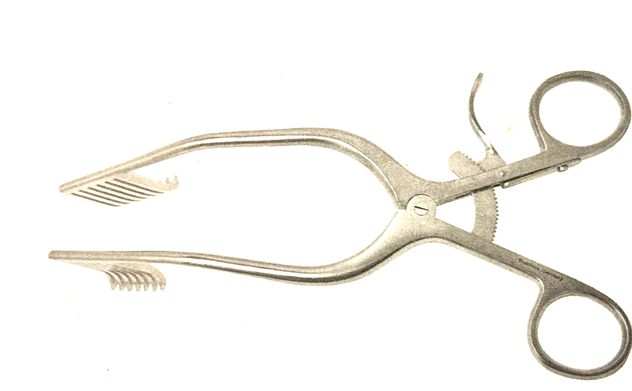 Miskimon Retr 7X7 Sharp 7 1/2"